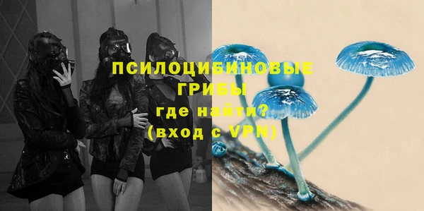 каннабис Майский