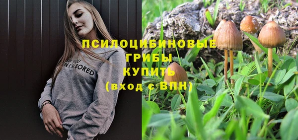 мяу мяу кристалл Магас