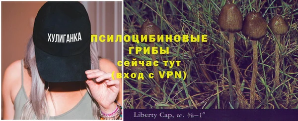 ешки Магадан