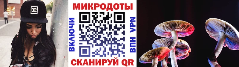 дарнет шоп  Пласт  Галлюциногенные грибы GOLDEN TEACHER 